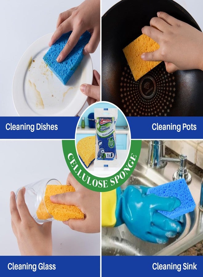 سبونتكس ليفة تنظيف سبونتكس الزرقاء الأساسية المصنوعة من السليلوز (عبوة من 3 قطع) - صديقة للبيئة، متينة، تصميم مزدوج الجوانب للأسطح الحساسة، مصنوعة من ألياف معاد تدويرها بنسبة 100%، إسفنجة قابلة للتحلل الحيوي، ومقبض مريح - Image 4